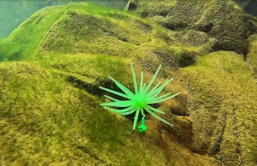 QualyQualy Urchin Bait for Bass Fishing, Floating TPE Creature Lures - 2.5'' / 3.6''/ 4'' /5.1'' Multi-Tentacle Soft Plastic Bait for Bass, Walleye, Pike - color: #01 Light Green, size: L-6pcs