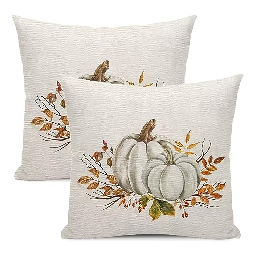 Autumn Fall Pillow Covers 18 X 18 Inch Set of 2, White and Grey Pumpkins Orange Flowers Throw Pillow Covers Farmhouse Thanksgiving Harvest Decorative Autumn Pillows for Couch Home Sofa Outdoor - color: Pumpkin3, size: 18" x 18" (Pack of 1)