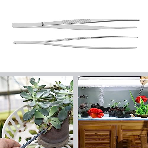 2 PCS 12 Inch Stainless Steel Tweezers, with Straight Round Blunt Serrated Tip, 1/16 Inch Thickness Stainless Steel, Multipurpose Daily Garden Home Lab Craft Repairing Tool - size: 12"L(1/16"T)