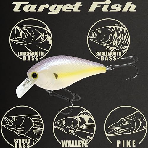 LUCKY CRAFT LC 2.5 Silent Crankbait Fishing Lures, 2-3/8” Squarebill Crankbait, Bass Lures, Floating 4ft Depth Hard Bait, Champion Freshwater Fishing Gear and Tackle Box Accessories - color: 250 Chartreuse Shad
