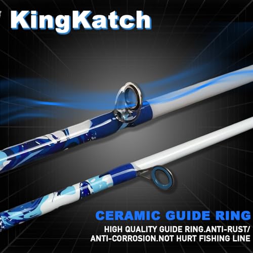 6'6" Fiberglass Casting Rod, 2-Piece Skull Design, Durable & Sensitive with Split-Grip Handle, Perfect for Bass, Pike, Catfish Fishing in Freshwater & Saltwater - color: HLQB-6'0", size: 6'0"