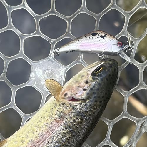 Wounded Duo Sampler 3 Pack – Ultralight Wobble Minnow Crankbait Fishing Lures (55mm & 50mm) – Wounded Series – Single Barb Hooks – Trout, Bass & Panfish Lures
