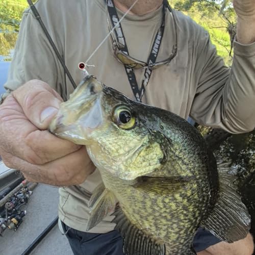 Crappie Lures Kit - Soft Plastic Lures for Trout, Bass, Panfish & Bluegill - 24 Packs - color: Pearl