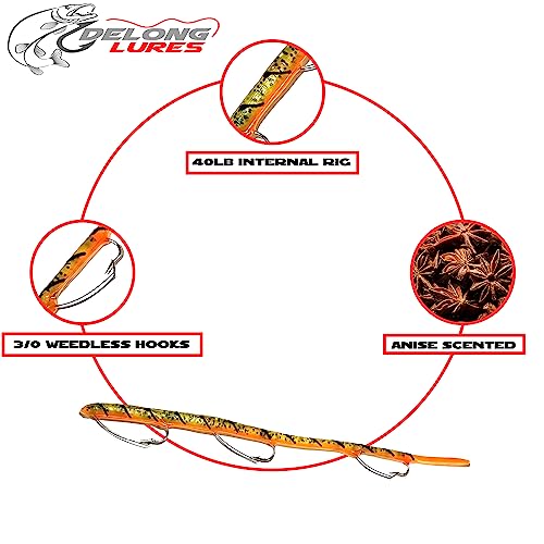 DELONG LURES: Weedless Fishing Lures 9" Pre-Rigged Fishing Worms - Weedless Bass Fishing Lures, Prerigged Soft Plastic Worm Fishing Lures for Bass, Pike, Bass Lures Baits Tackle - color: Value-5 Pack