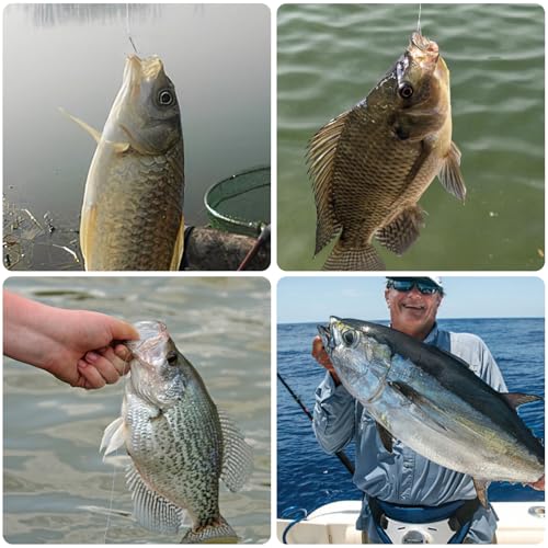 Dr.Fish 30 Pack Round Bend Treble Hooks #16-#8/0, Triple Fishing Hooks Saltwater&Freshwater, Replacement Hardbait Crankbait Spinner Catfish Walleye Trout Salmon Bass Fishing - color: Silver, size: #2/0-30 Pack