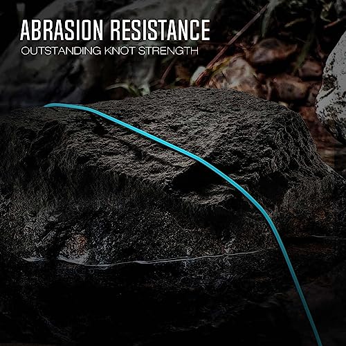 Piscifun Sword Fly Fishing Line with Welded Loop, Weight Forward Floating Fly Line, Available in WF1, WF2, WF3, WF4, WF5, WF6, WF7, WF8, WF9, and WF10 Weights, in Lengths of 90 and 100 Feet - color: Sky Blue, size: WF-7F 100FT