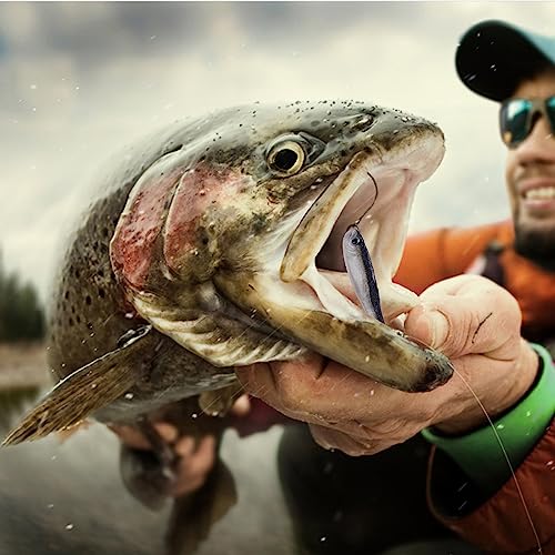 Paddle Tail Swimbaits,Soft Plastic Fishing Lures Swim Baits for Bass Fishing,30/50pcs with Box,Soft Plastic Swimbaits for Bass Trout Crappie Lures Kit for Saltwater Freshwater - color: E:3.15in/0.07oz-30pcs