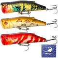 Pristis 3 pcs Topwater Fishing Plopper Lures, Floating Popper Bait Set with Chemically Sharpened Hooks for Saltwater Freshwater, Top Water Plopping Swimbait Teaser for Bass Tuna Perch Pike Crappie - color: Artistic Topwater Poppers