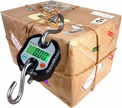 Digital Hanging Scales Portable Heavy Duty Crane Scale 150 kg 300 lb 2 AAA Batteries(Not Included) (Black) - color: Black