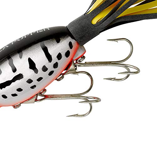 Arbogast Hula Popper Topwater Bass Fishing Lure - color: Coach Dog Orange Belly, size: 2 1/4 in, 5/8 oz