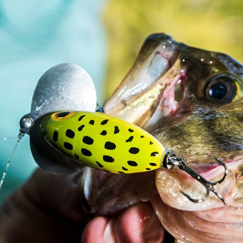 Arbogast Jitterbug Topwater Bass Fishing Lure - Excellent for Night Fishing - color: Frog White Belly, size: 2 1/2" 3/8 oz