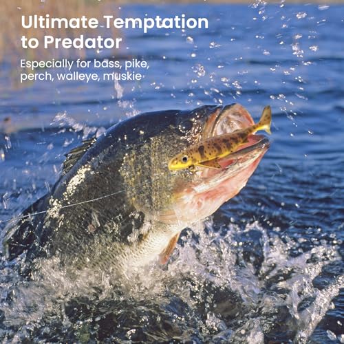 Pristis 6 pcs Sharkita Jig Head Soft Fishing Lures, Plastic Pre-Rigged Paddle Tail Shark Shad Swimbaits, Durable Sinking Worm Bait Set Gear Kit for Saltwater Freshwater Bass Crappie Walleye Trout - color: Tiger Shark