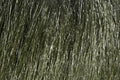 Hareline Fly Tying Extra Select Craft Fur – Premium Synthetic Fur for Streamers & Saltwater Flies - color: Dark Olive