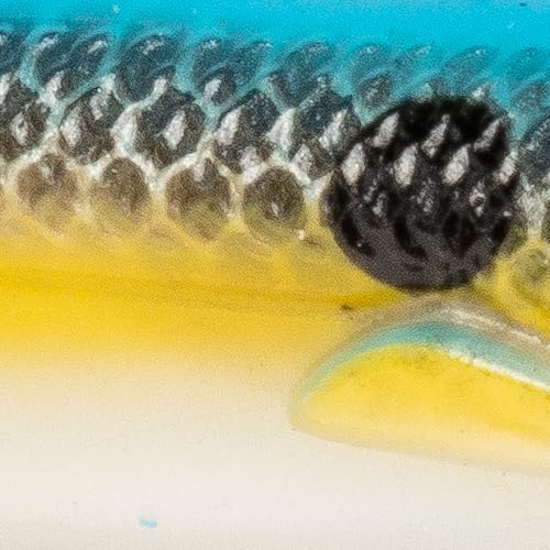 Strike King Homing Minnow Fishing Lure, Pre-Rigged Soft Plastic Swimbait, 3-Pack - color: Sexy Shad, size: 3"