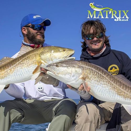 Fishing Lures for Speckled Trout, Redfish, Bass - Louisiana Paddle Tail Swimbaits for Freshwater and Saltwater - color: Magneto