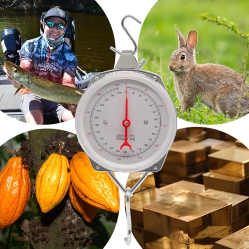Hanging Spring Dial Scale, Fish Scales Digital Weight, 550lbs/250kg Capacity, Big Game Scale, Mechanical Kitchen Weighing Large Food Scale with 2 S-Hooks for Fishing Hunting Luggage - size: 550 lbs