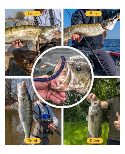 CVLIFE Wacky Worm Kit for Bass Fishing, 48PCS 5.5" Wacky Worm Lures, 100 O-Rings, Wacky Rig Tool, 30 Hooks and Tackle Box, 180PCS Soft Plastic Fishing Lure Kit