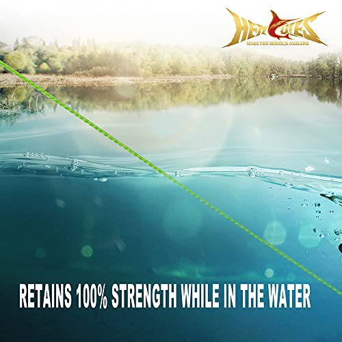 HERCULES Braided Fly Line Backing 20lb 30lb, 100Yds 300Yds, with Long-Lasting Color - color: Fluorescent Yellow & Black, size: 30LB 100Yds