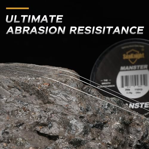 SeaKnight T2 100% Fluorocarbon Fishing Line, 110YD Japanese Material Leader Line, Low Visibility High Strength Abrasion Resistant for Saltwater Freshwater Fishing (3-35LB) - size: 1.5#: 0.203mm-6LB