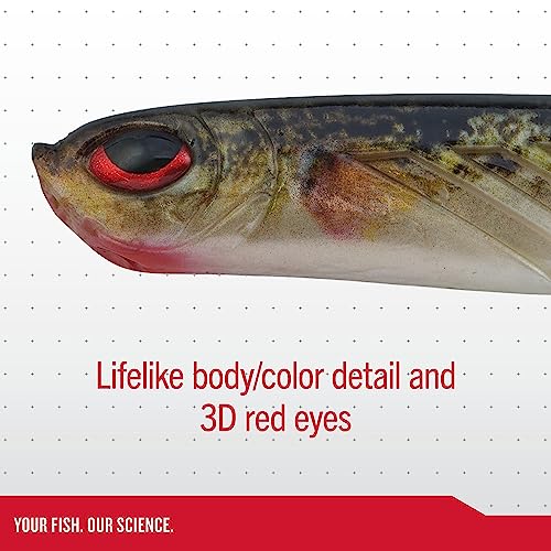 Berkley PowerBait Ripple Shad Fishing Soft Bait - color: Fool's Gold, size: 2"