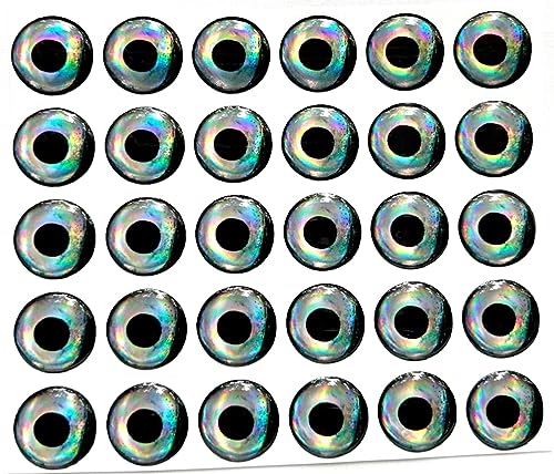 Brule 3-D Holographic Epoxy Fish Eyes (5mm-20mm) 60 Pack, Handpoured, Fishing Fly Tying Lures DIY Crafts - color: Sleet, size: 5mm
