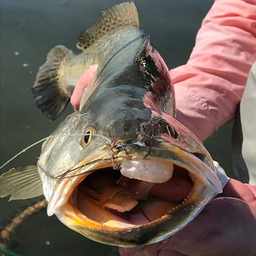 A.M. Fishing Curly Tail Jerkshad 4 Inch Soft Baits Garlic Infused,– 8 Pack – Saltwater & Freshwater Fishing Lures for Bass, Redfish, Snook, and Trout - color: Pearl