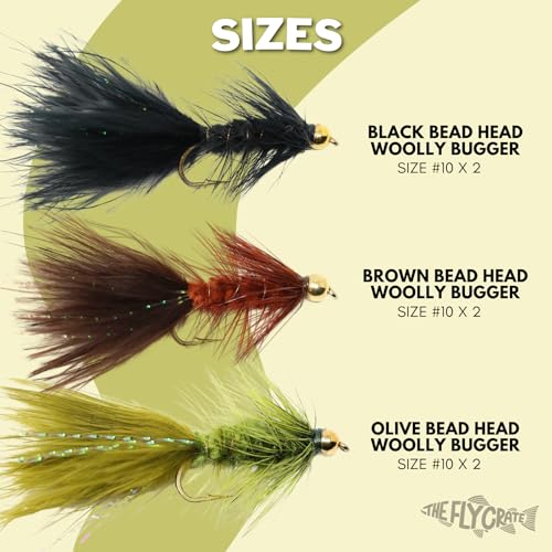 The Fly Crate Woolly Bugger Flies for Trout Fly Fishing Assortment - Streamer Fly Fishing Flies