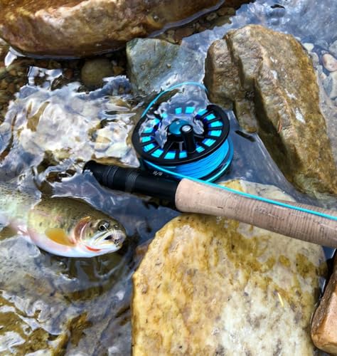 Kylebooker Weight Forward Floating Trout Fly Fishing Line WF3F-WF8 - color: Blue, size: WF4F-100FT