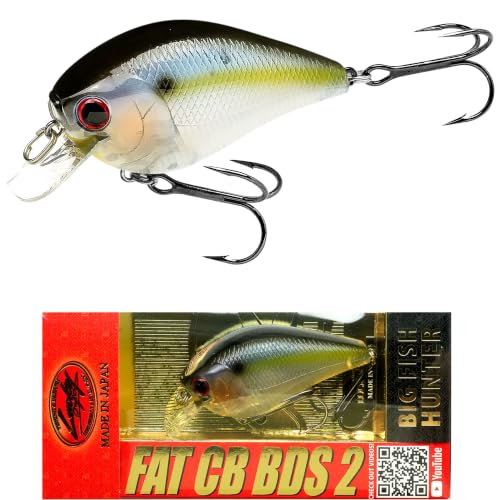 LUCKY CRAFT Fat CB BDS2 Fishing Lure, 2.5" Floating Squarebill Crankbait, 2–3 ft Depth, Freshwater Trout and Bass Lures, Bass Fishing Gear and Tournament Hard Bait - color: 186 Ghost Threadfin Shad