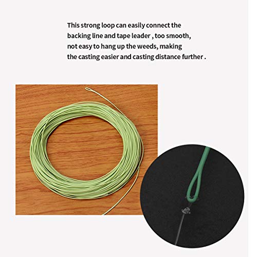 100FT WF3F WF5F WF8 Fly Fishing Line Combo Weight Forward Fly Line with Braided Backing Tapered Leader Preload Fly Line with Welded Loop - color: Moss Green, size: WF 5F Fly Line Combo