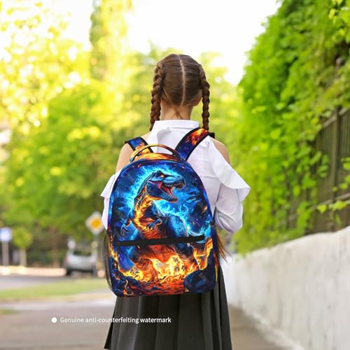 Dinosaur Backpack for Kids Toddler Boy Blue Fire Dino School Bookbag for Elementary Preschool Travel Bag Backpack for Kid Boys 8-12 Back to School Gifts - color: Dinosaur 01