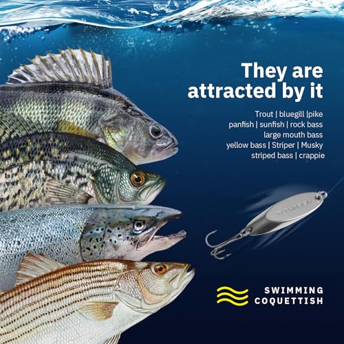 THKFISH Fishing Lures Fishing Spoons Lures Trout Lures for Trout Pike bass Crappie Walleye 3.5g(1/8oz) 5.5g(1/5oz) 7.5g(1/4oz) 10.5g(3/8oz) 14.5g(1/2oz) 21.5g(3/4oz) 5pcs - color: Color B-Single Hook, size: 1/8oz 5pcs
