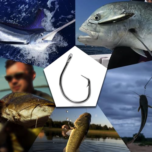 FishTrip 25pcs Circle Hooks Saltwater, in-Line 5X Strong Fishing Hooks for Saltwater & Freshwater, Live Bait Non-Offset Wide Gap Fish Hook for Catfish, Striped, Bass, Salmon, Mackerel, Tuna - size: 20/0_2pcs