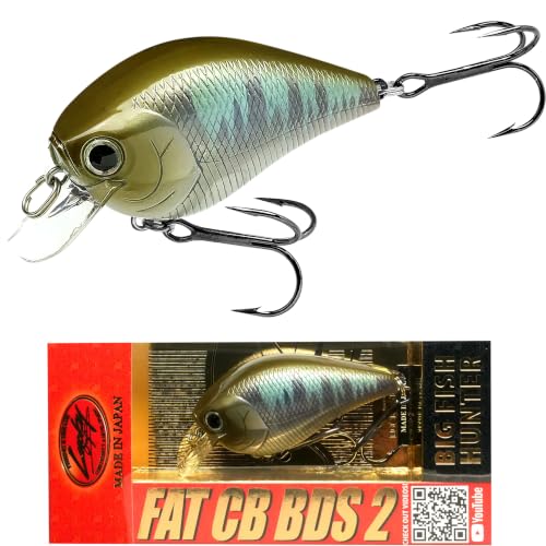 LUCKY CRAFT Fat CB BDS2 Fishing Lure, 2.5" Floating Squarebill Crankbait, 2–3 ft Depth, Freshwater Trout and Bass Lures, Bass Fishing Gear and Tournament Hard Bait - color: 284 Misty Shad