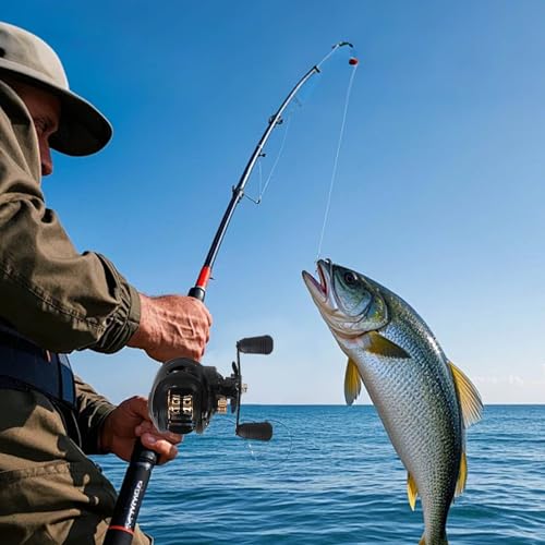 Baitcasting Reel,Carbon Fiber Drag Fishing Baitcaster Reels, Bait Cast Reel With 7.2:1 Gear Ratio 10+1 Ball Bearings 17.6lbs Max Drag Right Hand，Fish Gift For Man - color: HEIJIN