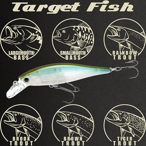 LUCKY CRAFT Pointer 78SP Fishing Lures, 3” Jerkbait Freshwater Bass & Trout Lures, Suspending 4ft–5ft Depth, Jerkbait with Walk-the-Dog Action, Precision Bass Fishing Gear and Accessories - color: 255 MS Ghost Wakasagi, size: PT65