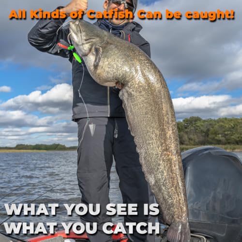 Catfish Rigs Catfish Float Rigs Catfishing Tackle Santee Rig 5/0 6/0 Circle Hooks for Peg Floats Catfish - size: 5/0 HOOK * 6PCS with Weight 1 oz