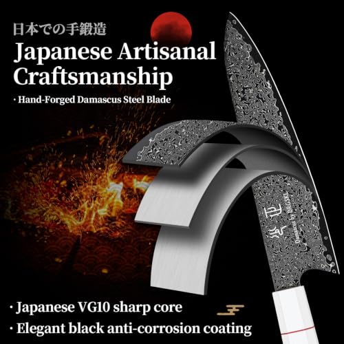 DRGSKL Japanese Knife Set Damascus - VG10 Kitchen Knife Set 3 PCS for Fruit, Vegetables, Fish and Meat - Japanese G10 Handle - Gifts for Men and Women - size: 8.2 inch