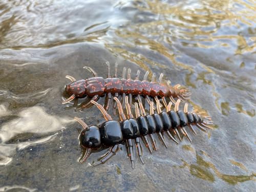 YUM Hellgrammite - color: COPPER CREEK