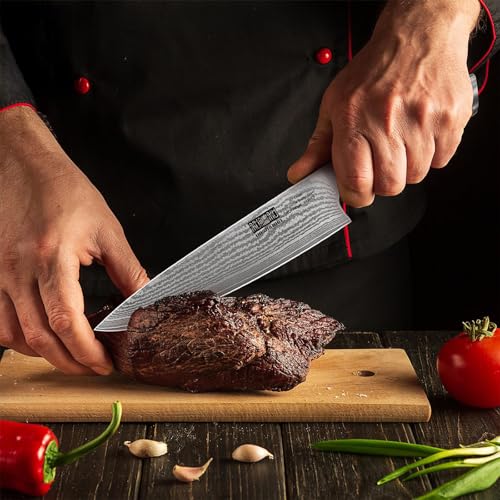 HOSHANHO Damascus Chef Knife 8 Inch, Professional 67 Layers 10Cr15CoMoV Super Steel Kitchen Knife, Ultra Sharp Japanese Knife with Durable Ergonomic Olive Wood Handle - style: 8 Inch Chef Knife