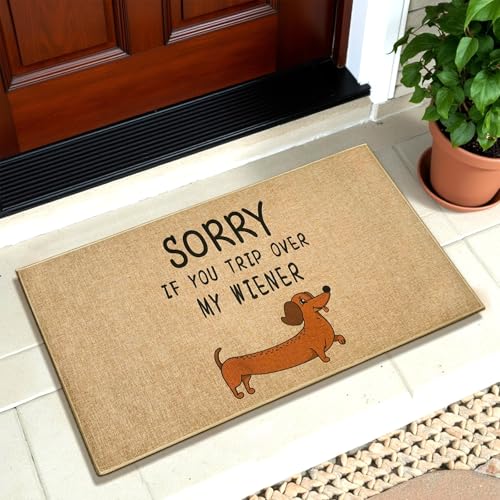 Funny Dog Doormat Outdoor Welcome Entrance Door Mat Front Back Door Entryway Floor Mat Inside Outside Non-Slip Welcome Carpet Rug Indoor Washable Doormat for Patio Hallway Home Decor - color: Brown Dog