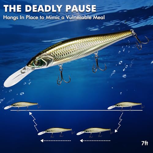 TRUSCEND Suspending Jerkbait, Rattle Minnow Lures with BKK Hooks, Freshwater Bass Trout Striper Walleye Pike Fishing Lures, Variety Pack for All Water Conditions, Premium Fishing Gear and Gifts - color: A2-4.3",0.6oz