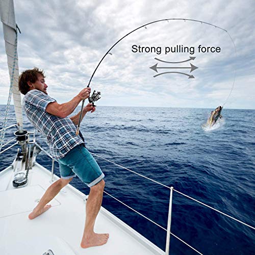 ShinePick Fishing Rod Kit, Telescopic Fishing Pole and Reel Combo Full Kit with Line Lures Hooks Carrier Bag for Travel Saltwater Freshwater Boat Fishing Beginners - color: 2.7M