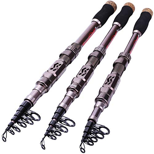 Sougayilang Fishing Rod and Reel Set Carbon Fiber Telescopic Fishing Rod 12+1BB Spinning Reel with Carry Case for Saltwater Freshwater - color: silver, size: 5.91 ft - 2000