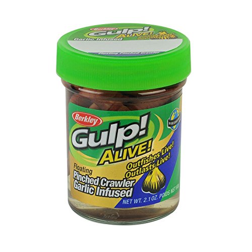 Berkley Gulp! Alive! Floating Pinched Crawler Fishing Soft Bait, Nightcrawler, 2in