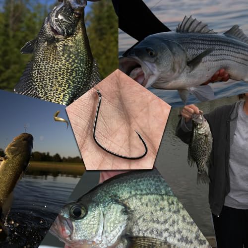 Kahle Hooks for Surf Fishing, FishTrip 50pcs Pompano Rig Hook Wide Gap Circle Hooks 7 Sizes - size: A_50pcs