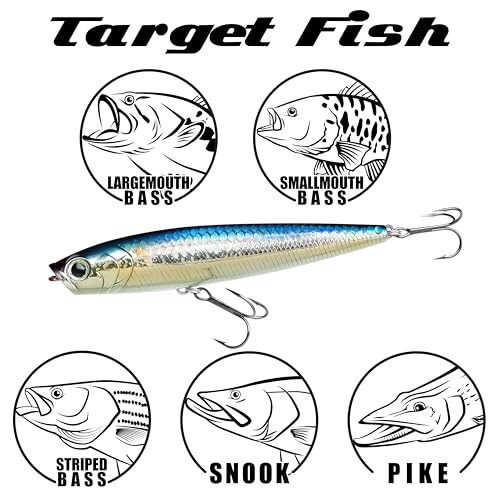 LUCKY CRAFT Gunfish 95NF Top Water Bass Fishing Lures, 4” Floating Lure with Cupped Mouth, Freshwater Trout and Bass Lures Fishing Gear, Accessories for Tackle Box - color: 419 BP Golden Shiner