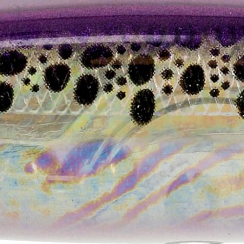 Strike King KVD Elite 300 Deep Jerkbait - color: 338 - Pro Table Rock