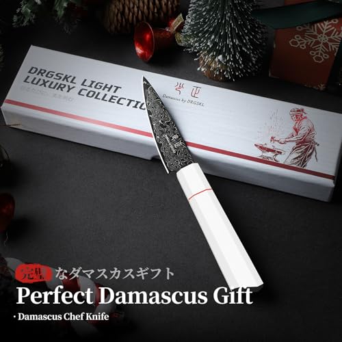DRGSKL Damascus Fruit Knife 3.5 inch - VG10 Paring Knife for Precision Cutting - Small Kitchen Knives with Japanese G10 Handle - In Gift Box - size: 3.6 inch