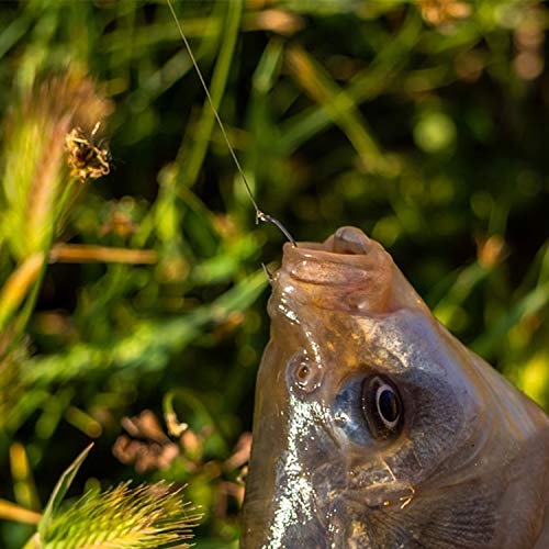 Carp Fishing Hooks- 120pcs Barb Curved Shank Carp Hooks Circle Fish Hooks Freshwater Saltwater for Hair Rigs Carp Fishing Tackle - size: 8# 120pcs